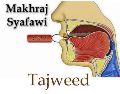 Tajweed Course
